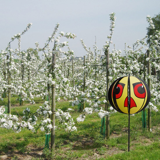 Hawk Eye Vogelverschrikker Hawk Eye Vogelverschrikker