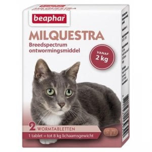 Beaphar Milquestra kat L Vanaf 2kg 2-tabletten