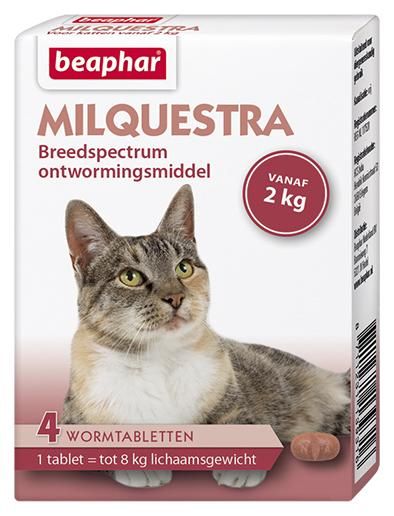 Beaphar Milquestra kat XL vanaf 2kg 4-tabletten