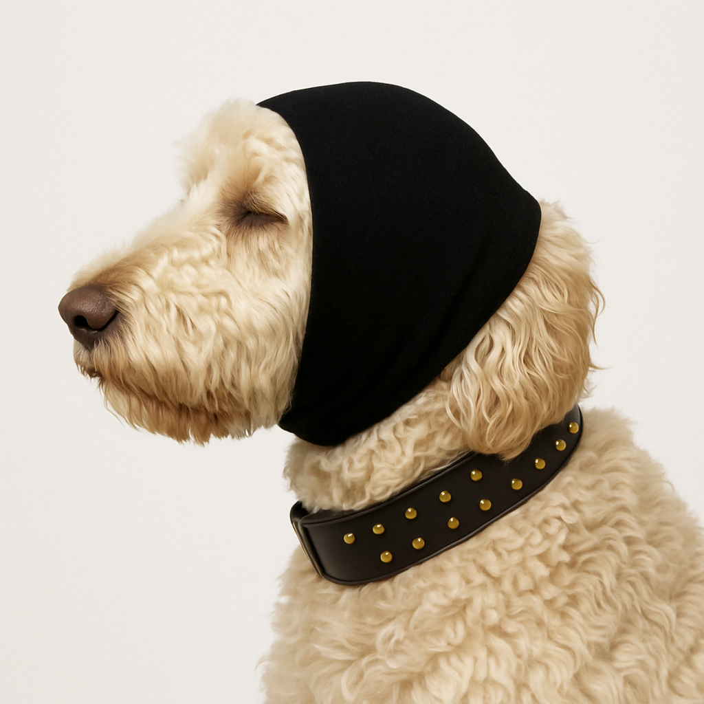 Oorbeschermer hond | Honden oorbescherming