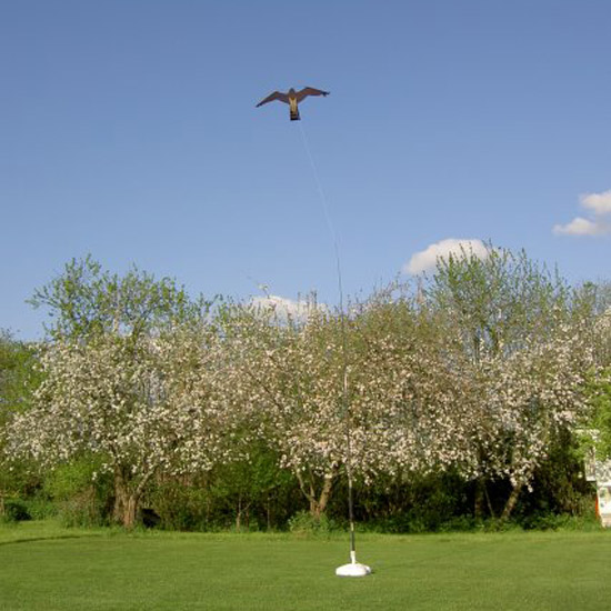 Brown Hawk Kite 10 meter
