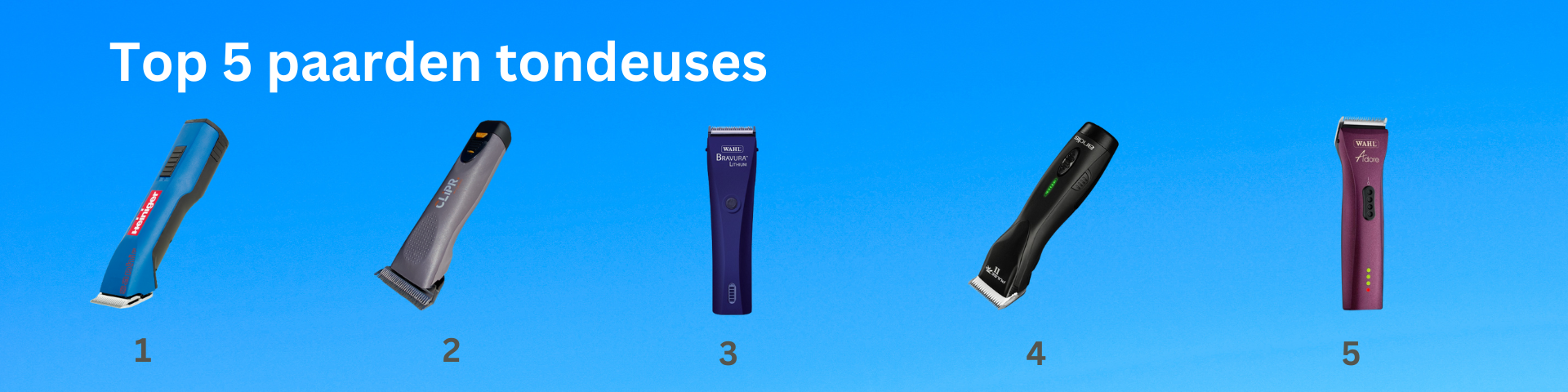 Top 5 paardentondeuseus-1920x480px Top 5 paardentondeuseus-1920x480px
