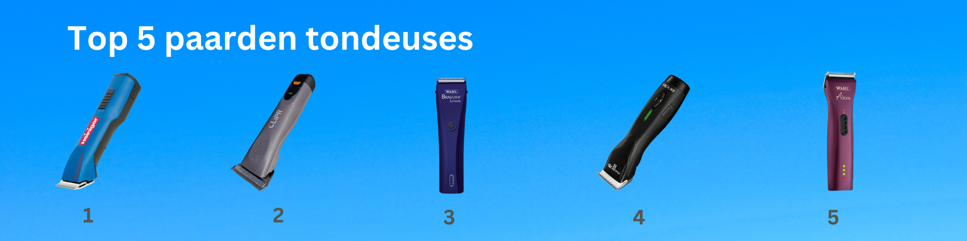 Top 5 paardentondeuseus-1920x480px