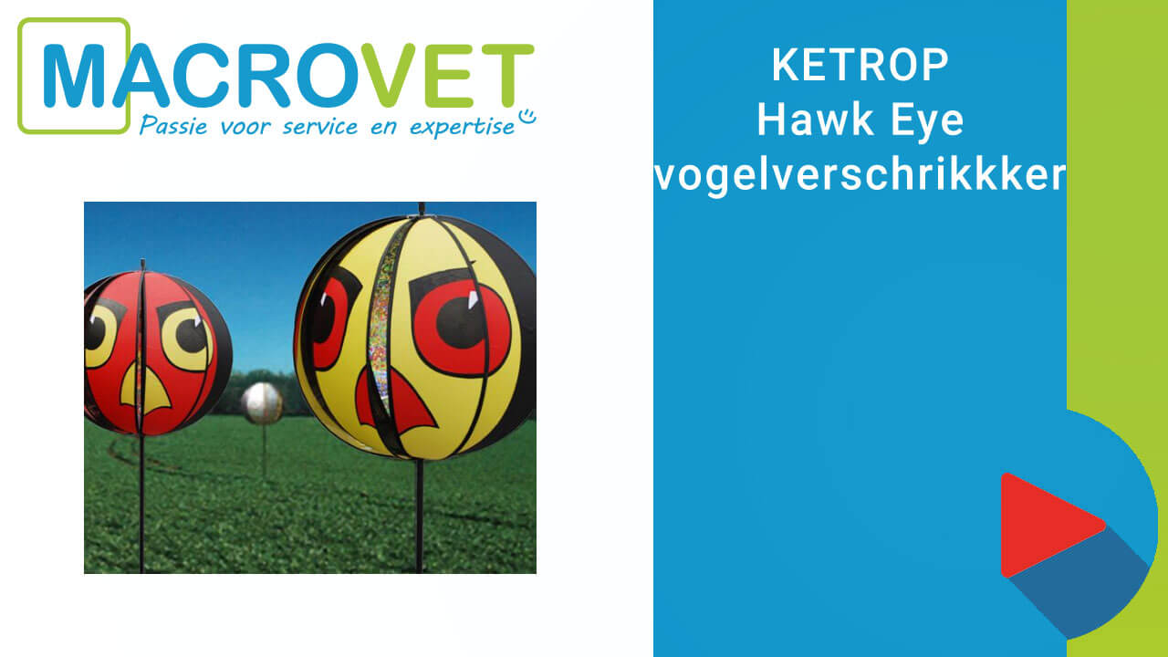 Hawk Eye Vogelverschrikker