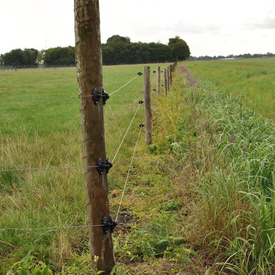 Gallagher W-Isolator (175 stuks) Gallagher W-Isolator (175 stuks)