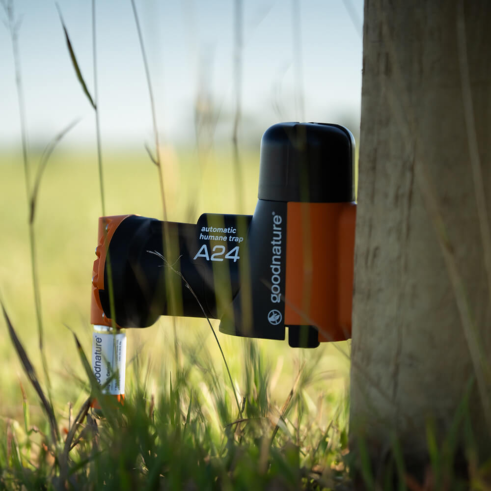 Goodnature A24 Automatische rattenval - muizenval Starter kit Goodnature A24 Automatische rattenval - muizenval Starter kit