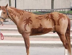 figuurtjes-scheren.jpg