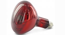 Warmtelamp Category Warmtelamp