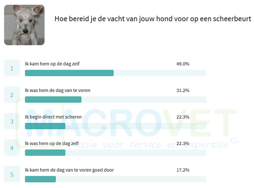 De vacht van je hond voorbereiden op een scheerbeurt
