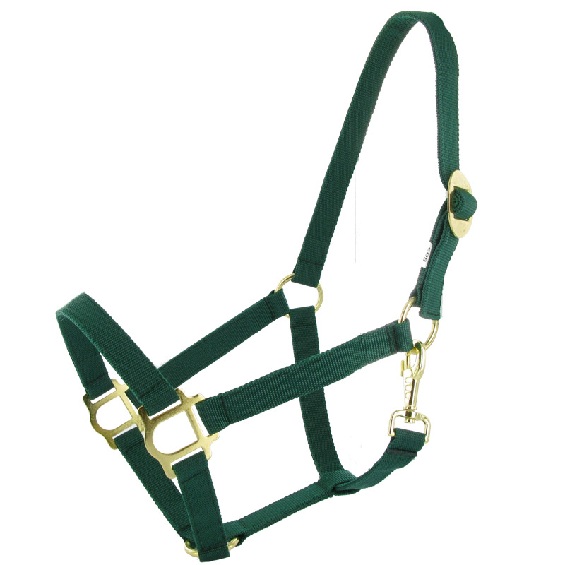 Paardenhalster COB (maat 2) Groen Paardenhalster COB (maat 2) Groen