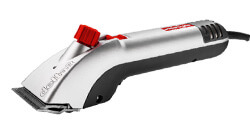 Delta Category Delta