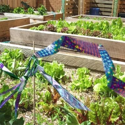 Scare Tape (Irritape) 2 x rol 80 meter Scare Tape (Irritape) 2 x rol 80 meter