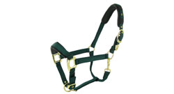 Paardenbenodigdheden Category Paardenbenodigdheden