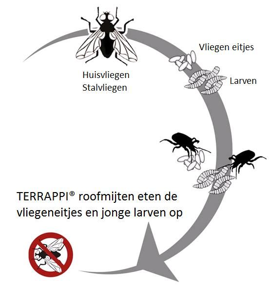 Agrapharm Roofmijt