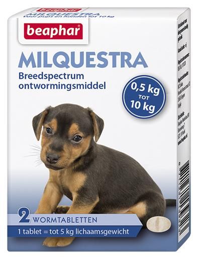 Beaphar Milquestra hond ontworming