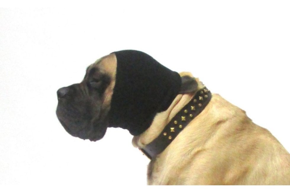 Oorbeschermer hond | Honden oorbescherming