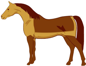 Dekenmodel-scheren-paard.jpg