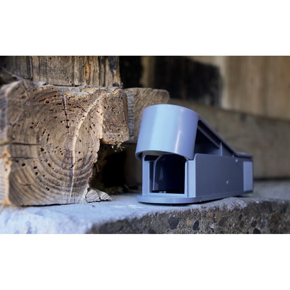 SuperCat levend vangende muizenval SuperCat levend vangende muizenval