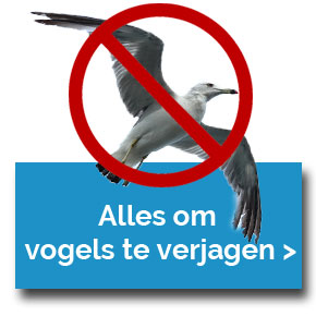 vogeloverlast-tegen-gaan