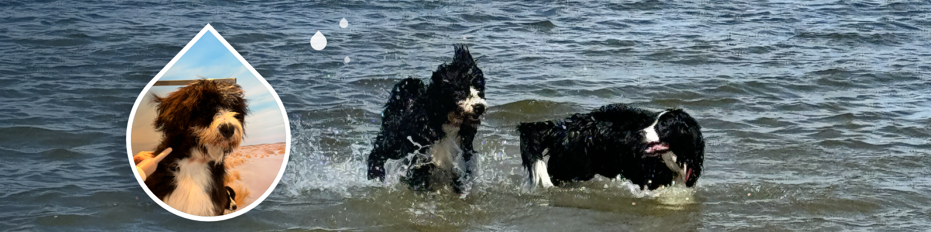 waterblazer-banner-1920x480