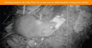 4-goodnature-detectiekaart-in-gebruik