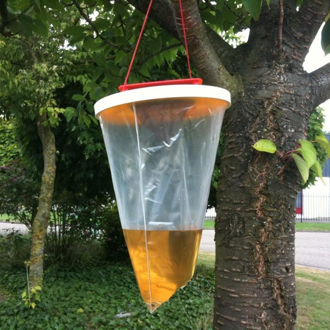 Redtop wespenval Redtop wespenval