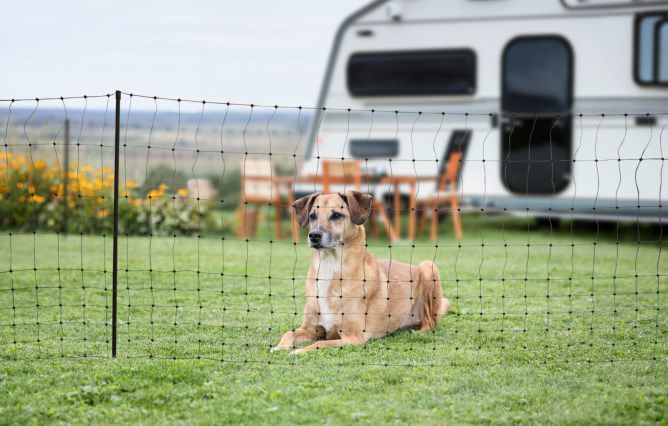 Ako Verplaatsbare omheiningnet afrastering camping
