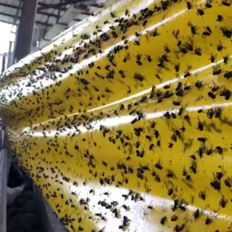 Vliegenlijmband XXL 30cm 100m Vliegenlijmband XXL 30cm 100m