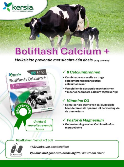 Boliflash Calcium+ 12-st Boliflash Calcium+ 12-st