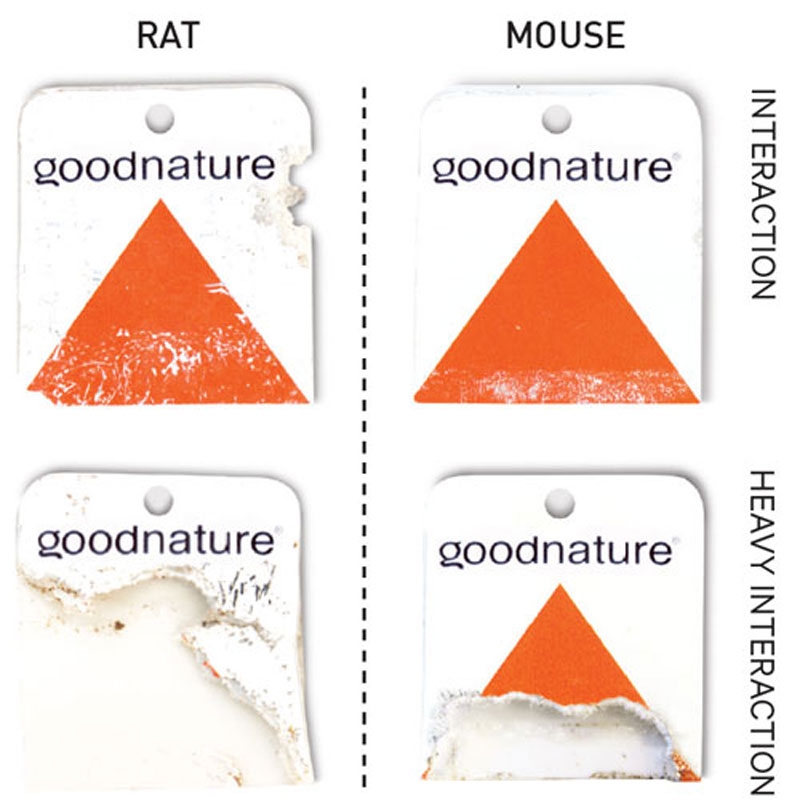 Goodnature Knaagdier detectie kaarten met lokstof