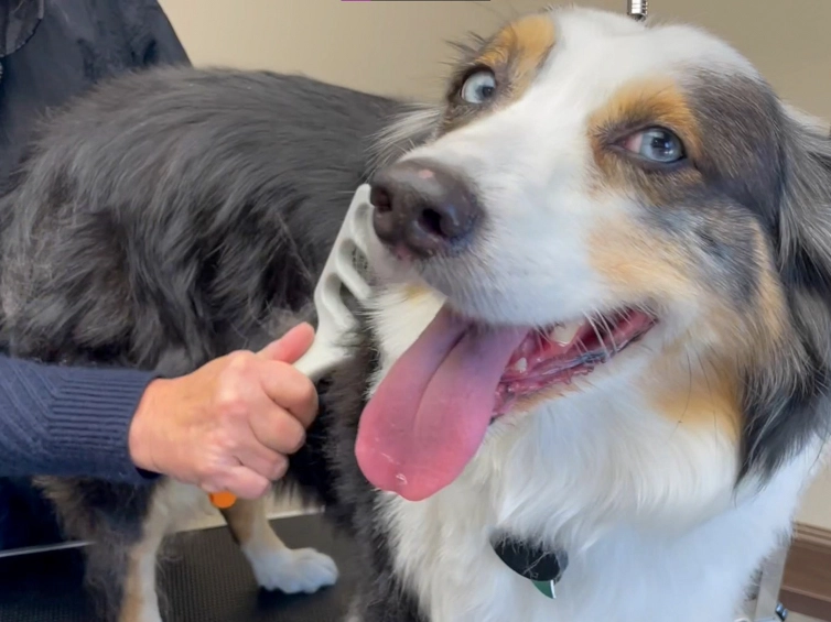 FUR4 voor professionals