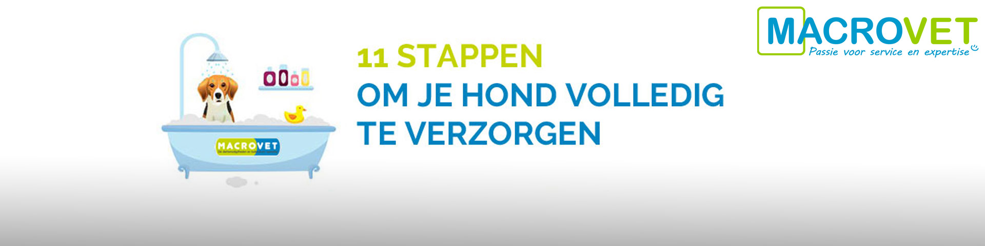 hond-verzorgen-1920x480 hond-verzorgen-1920x480