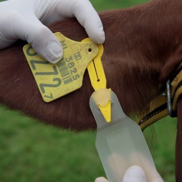 Auriplak vliegenoormerk 10st Auriplak vliegenoormerk 10st