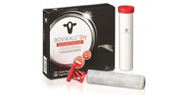 Bolussen Category Bolussen