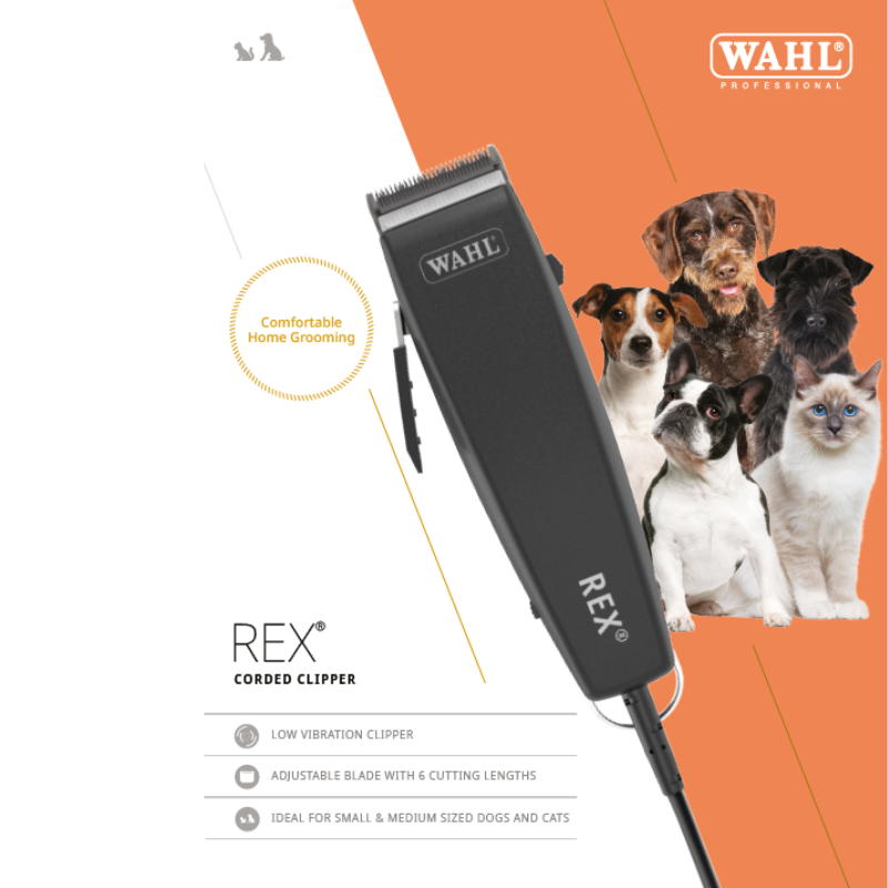 Wahl Tondeuse Rex