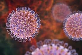 rotavirus.jpg