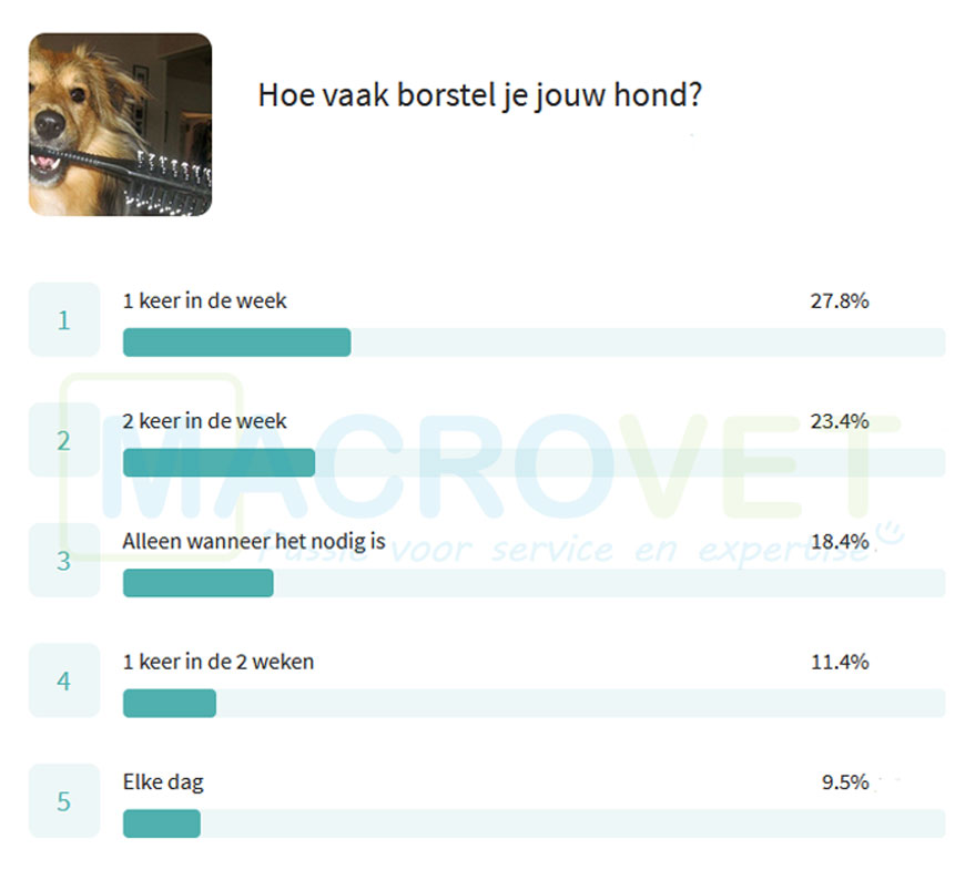 hoe vaak borstel jij je hond?