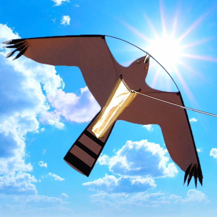 Hawk Kite reserve vlieger bruin