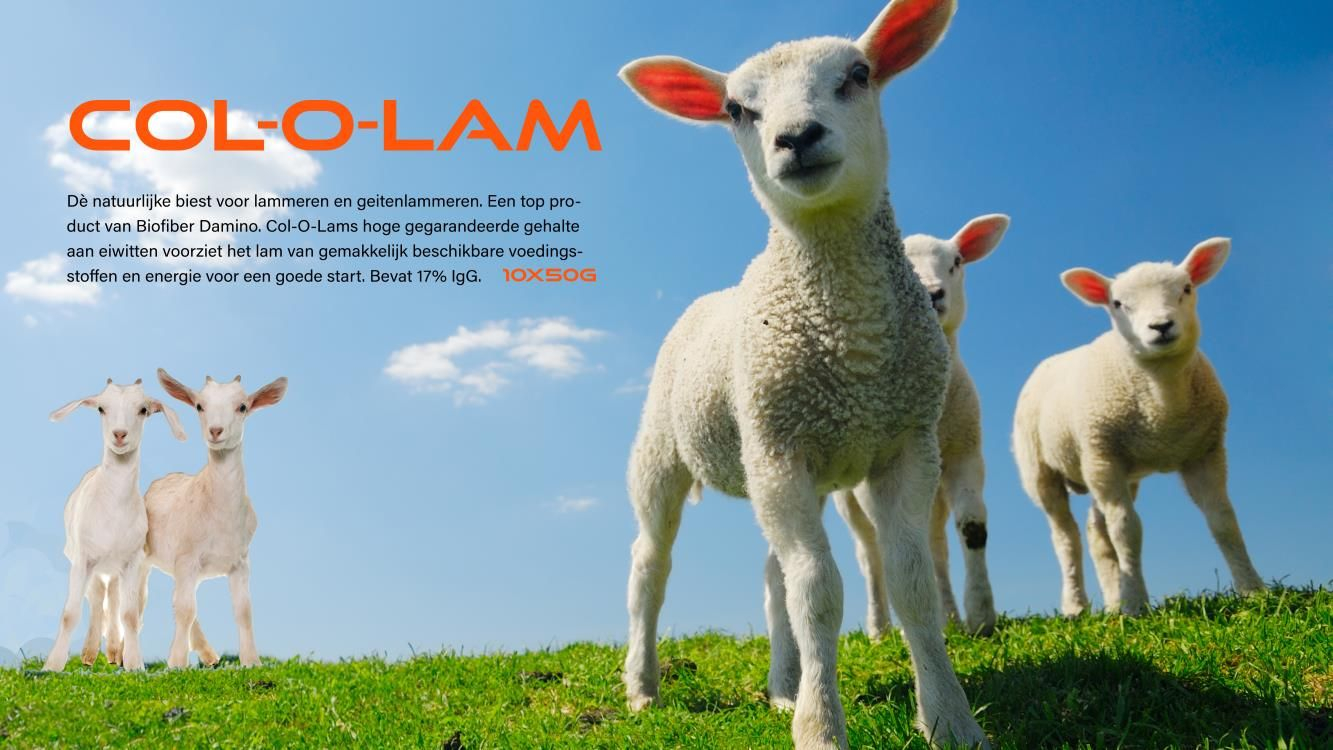 Col-O-Lam 10x50 gram Col-O-Lam 10x50 gram