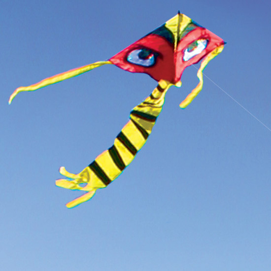 Twin - Terror Kite en Terror Hawk 7 meter Twin - Terror Kite en Terror Hawk 7 meter