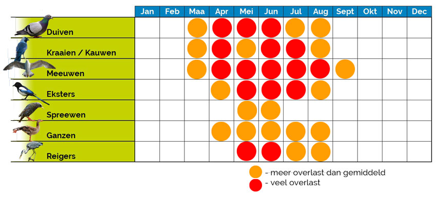 vogeloverlast-kalender.jpg
