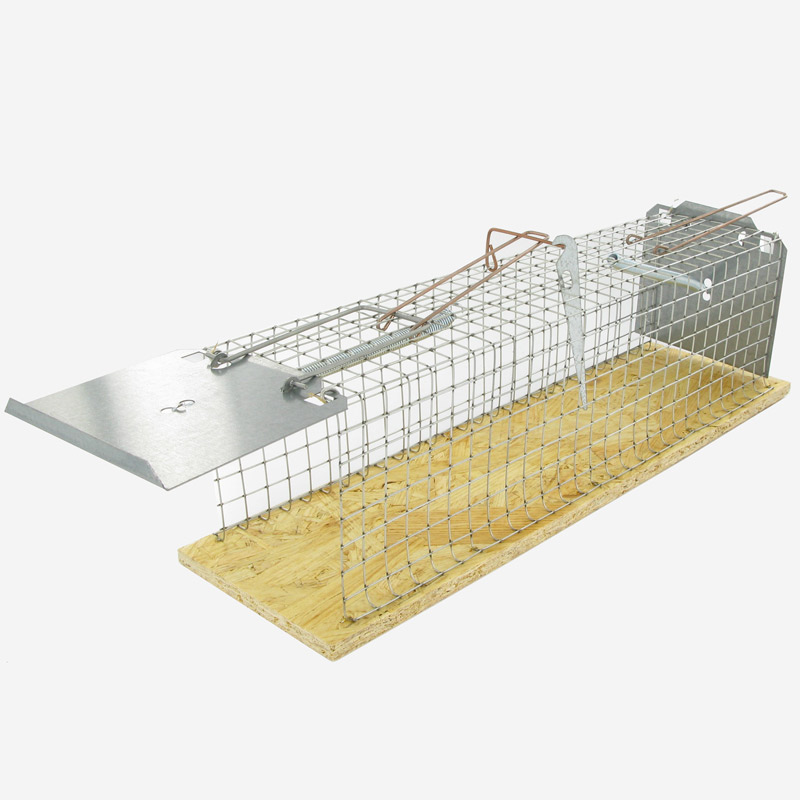 Diervriendelijke Ratten vangkooi 27x9.5x9.5 cm Diervriendelijke Ratten vangkooi 27x9.5x9.5 cm