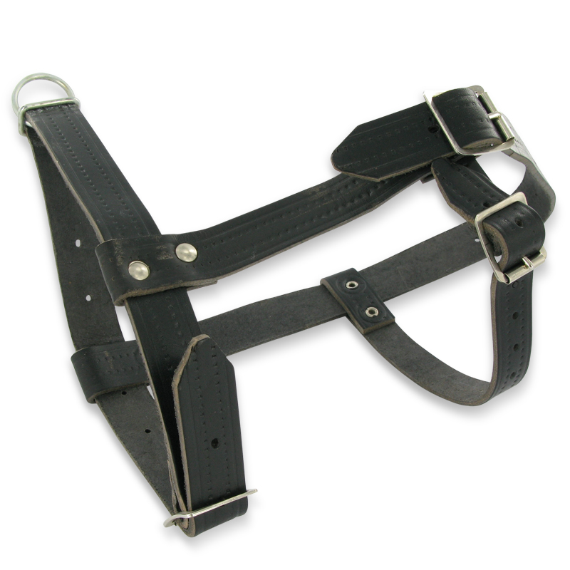 Rammenhalster zwart leder XL 20mm met extra keelband
