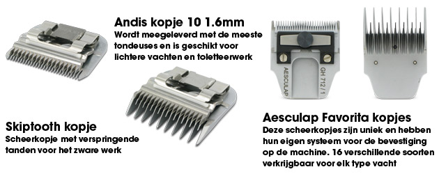 tondeuse-scheerkopjes.jpg