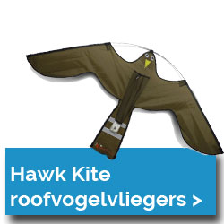 Hawk kite