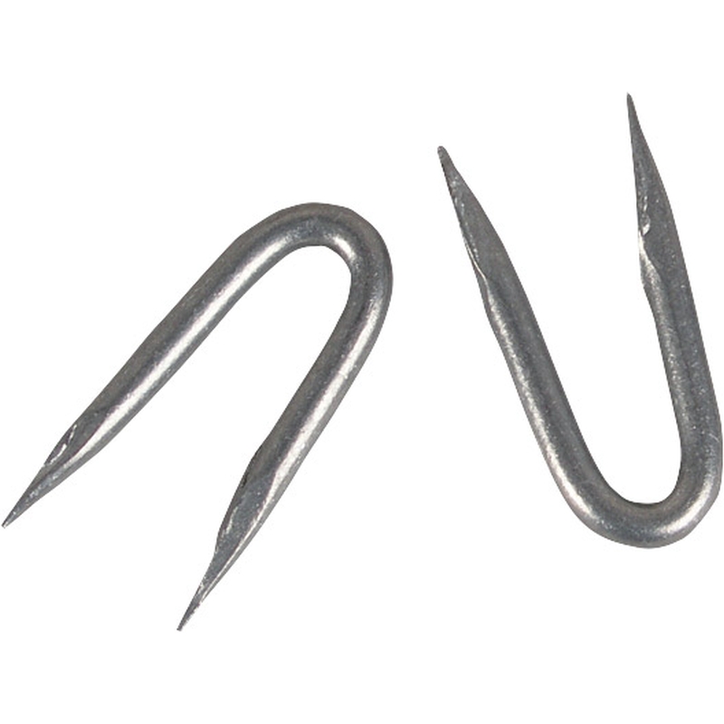 Patura krammen 3,8x38mm verzinkt 2.5kg (ca. 390st)