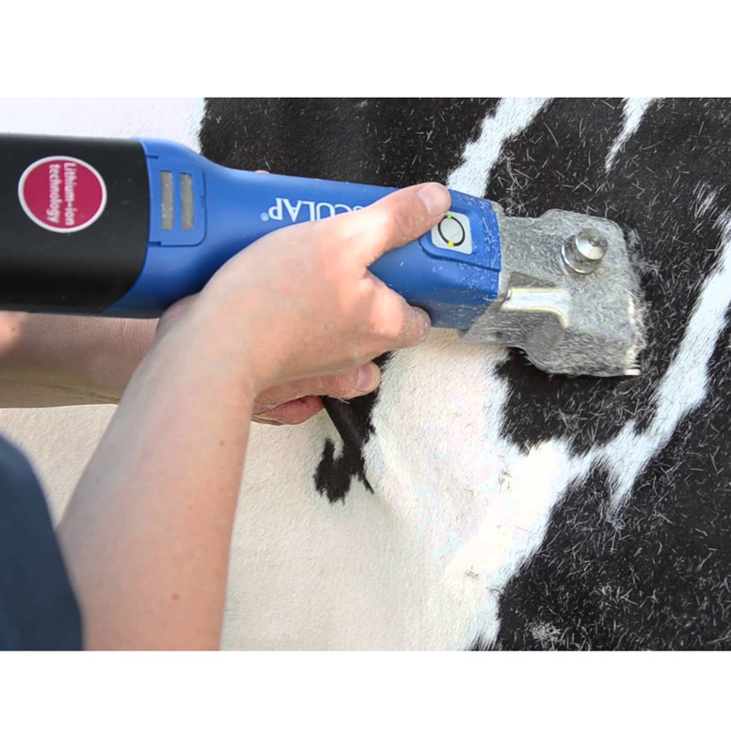 Aesculap Econom CL accu scheermachine scheren Aesculap Econom CL GT806 Accu veescheermachine (2 Accu's)