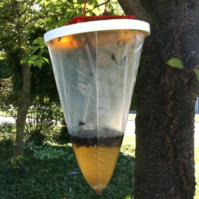 Redtop wespenval Redtop wespenval