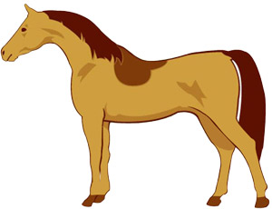 jachtmodel-scheren-paard.jpg