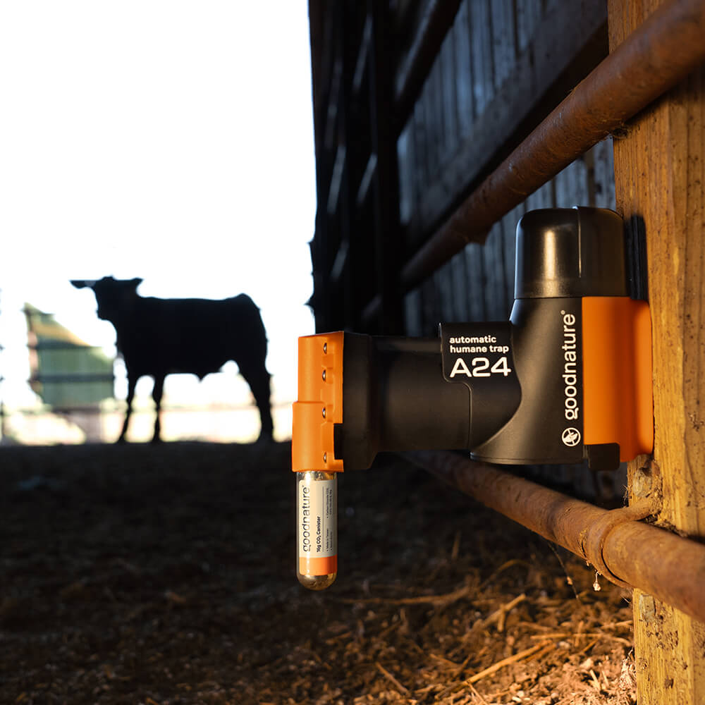 Goodnature A24 Automatische rattenval - muizenval Starter kit Goodnature A24 Automatische rattenval - muizenval Starter kit